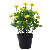 Beautifully Bonsai Bright Color Fake Flower For Office Home Decoration No Fading