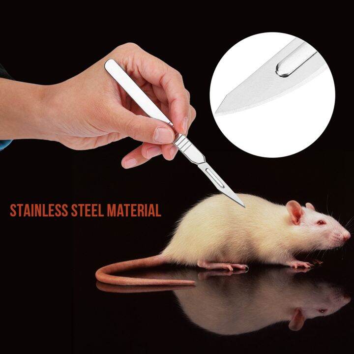 7pcs Stainless Steel Dissecting Dissection Kit Set Biology Student Lab