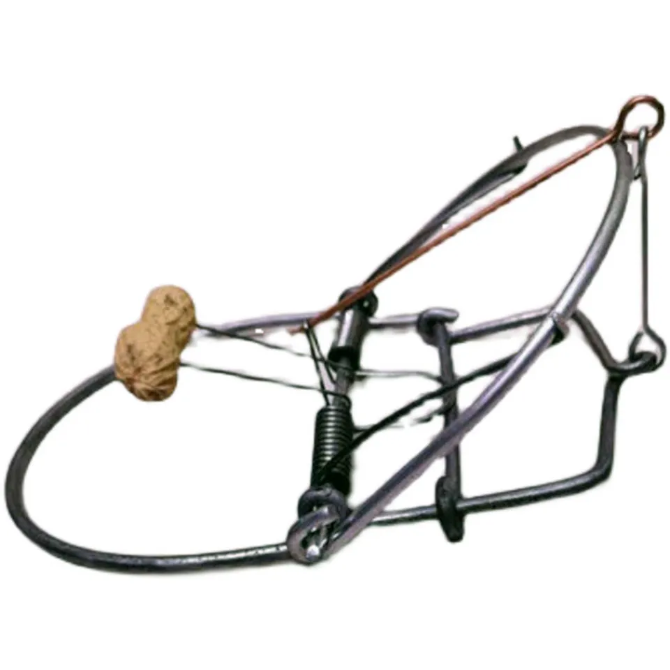 Traditional Simplicity Big Mouse Trap, Weasel Catch，catch Spring