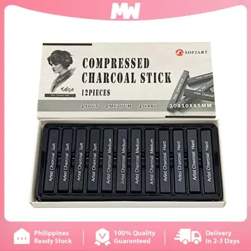 6Pcs artist charcoal sticks charcoal sticks for drawing Artist Shading