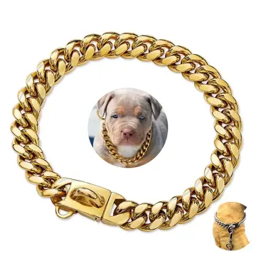 Gold dog clearance chain necklace