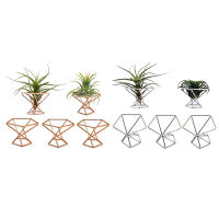 Pack 5 Air Plant Holder Air Plants Holders Tillandsias Display Air Purifying Plant Container Air Fern Stand