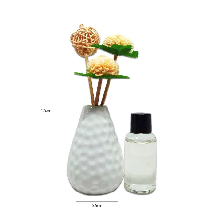 Decorandmore Perfect Aire Fragrance Diffuser for Home LD011 20ml