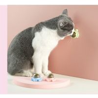 ลูกแมวของเล่นของเล่นแมวลูกบอลพลังงานขนมเลียแมวเพื่อสุขภาพอุปกรณ์สำหรับแมว