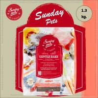 Sunday Pets Gentle bake อาหารเม็ดสำหรับสุนัข สูตรเนื้อปลาแซลมอนนิวซีแลนด์แบบอบความร้อนต่ำ ขนาด 1.3 kg.