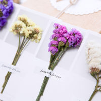 10 PiecesSet Dried Flowers Envelope Greeting Cards Wedding Invitations Handwritten Postcards Gift Cards Thank You Cards