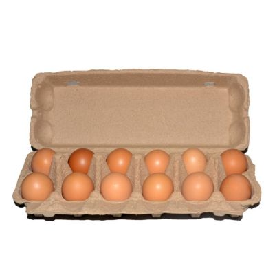 OAK 3PCS เยื่อจากธรรมชาติ กล่องใส่ไข่ กระดาษคราฟท์ 6เซลล์12เซลล์ เครื่องมือสำหรับไข่ อุปกรณ์เสริมเสริม สีไม้ ที่ใส่ไข่ อุปกรณ์สำหรับห้องครัว