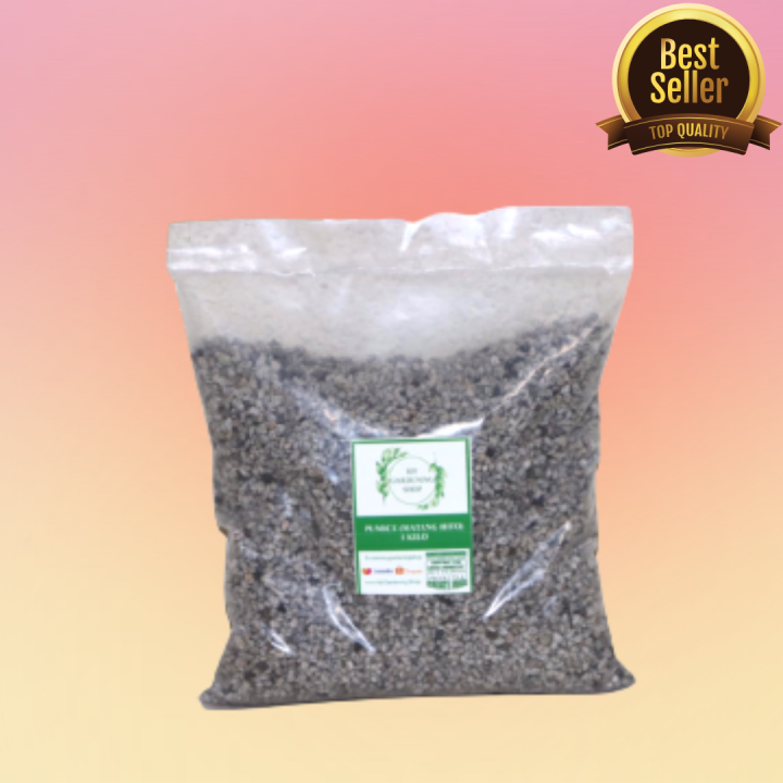 pumice stone corn size for plants///Pumice Stones for Potting Media