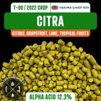 Citra Hops 1oz ฮอปส์ เพลลิท [Crop Year 2022] ทำเบียร์​ Pale Ale, IPA และอื่นๆ Homebrew Yakima Chief Hops (บรรจุด้วยระบบสูญญากาศ)