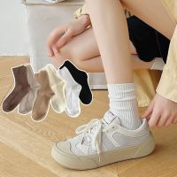 ถุงเท้าเกาหลี สไตล์แฟชั่น แนวสตรีท สีนีออนเรืองแสง ข้อยาวถุงเท้า cotton 1 คู่ ถุงเท้าแฟชั่นเกาหลี ถุงเท้าสีทึบยอดนิยม