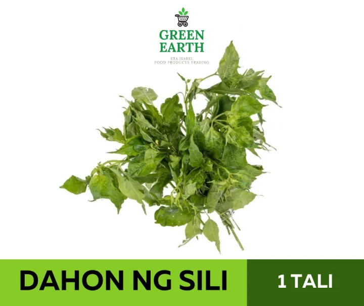 Dahon Ng Sili In English Ng 0749