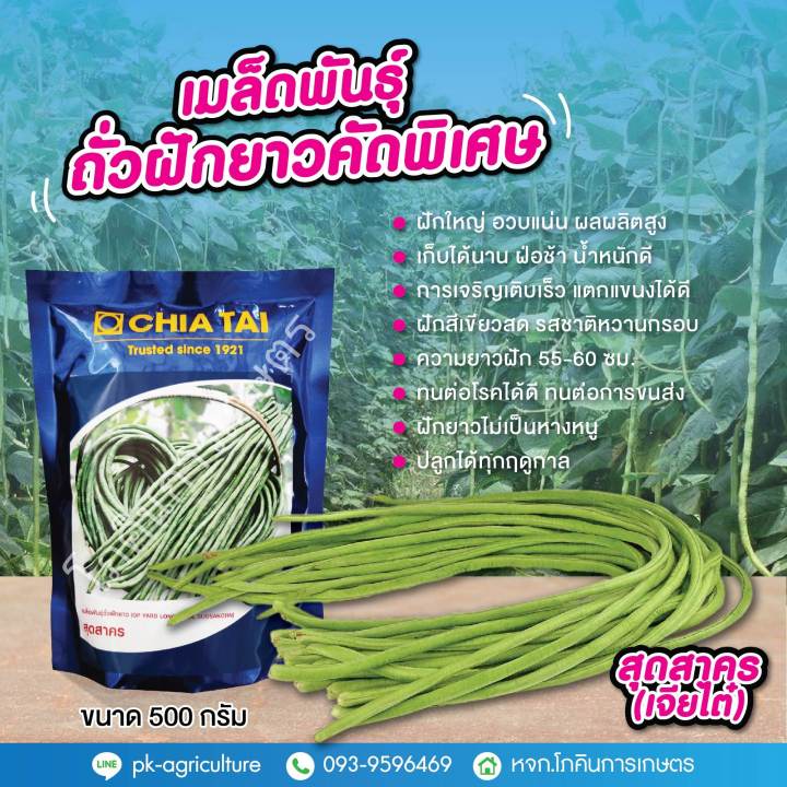 เมล็ดพันธุ์ถั่วฝักยาว-สุดสาคร-เจียไต๋-ขนาด-500-กรัม