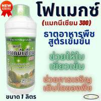 โฟแมกซ์ แมกนีเซียม 300 โซตัส 1 ลิตร ช่วยให้ใบพืชเขียวเข้มสมบูรณ์  ช่วยในการสร้างพลังงาน ดูดซึมสารอาหาร ละลายน้ำได้ดี