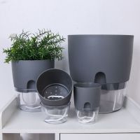 【YF】❃♛℗  Transparent Hydroponics Succulent Pot 2-Layer Watering Lazy Flowerpot Absorption