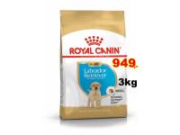 Royal Canin Labrador Retriever Puppy 3kg.สำหรับลูกสุนัขพันธุ์ ลาบราดอร์ รีทรีฟเวอร์ อายุ 2 -15 เดือน