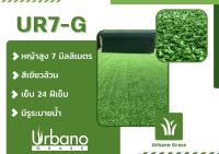 หญ้า เทียม เกรดพรีเมี่ยม 7 มิล หญ้าเทียมม้วน (หญ้าเทียมเออร์บาโน่ กร๊าส Urbano Grass) (ขนาด 2x2 ม. // 2x3 ม.) ไม่ได้มีดีแต่ราคา แต่คุณภาพดีเยี่ยม
