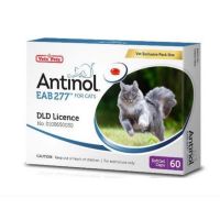 Antinol  Cat อาหารเสริม ลดอักเสบ บำรุงข้อ แมว ช่วยลดการระคายเคืองที่ผิวหนัง สารสกัดจากธรรมชาติ 60 caps ( แมว )