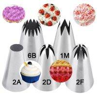 【CC】∏❉۩  1M 2A 2D 2F 6B Russian Icing Piping Pastry Nozzles Cakes Fondant Confectionery Nozzle Gadgets