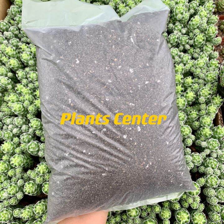 plants-center-พร้อมส่ง-1-กิโลกรัม-ดินปลูก-แคคตัส-กระบองเพชร-ผสมสำเร็จ-ผสมครบทุกอย่าง-ไม่ต้องซื้อแยก-ขนาด-1-กิโลกรัม