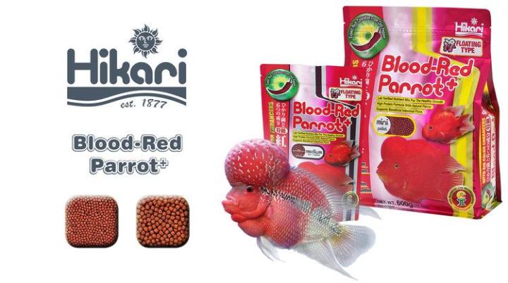 hikari-blood-red-parrot-s-อาหารปลานกแก้ว-เร่งสีแดงเป็นพิเศษ-ย่อยง่าย-เม็ดเล็ก-ขนาด-333กรัม