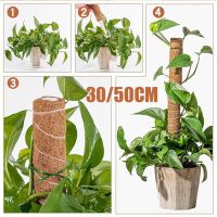 30/50cm Garden Coir Totem Coconut Palm Sticks Moss Pole Pole Moss Stick Vine Support Plant For Climbing Plants Support Extension Food Storage  Dispens