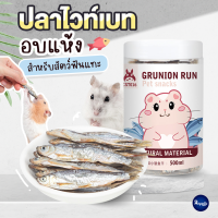 Royalty Pets ปลาไวท์เบท อบแห้ง สำหรับสัตว์ฟันแทะ อาหารแฮมเตอร์ ขนมสำหรับสัตว์เลี้ยง หนอนอบแห้ง RY0159