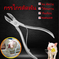 ถูก ตัดฟันกระต่าย คีมฟันหมู กรรไกรตัดฟัน กรรไกรตัดฟันหมู กรรไกรตัดฟัน​สัตว์ เพื่อการเพาะพันธุ์ ป้องกันการกัด