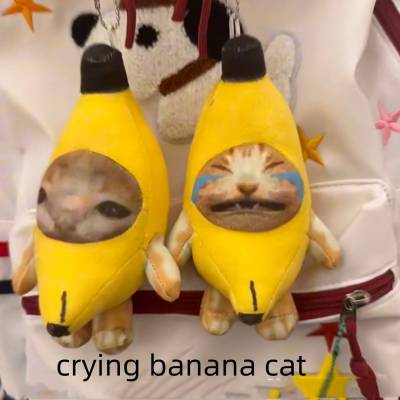 15CM Crying banana cat Crying cat meow with sound Funny voice keychain doll pendant