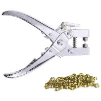 Eyelet Hole Punch Pliers Punch Pliers Set with 100 Eyelets Eyelets and for Leather, Belt, Shoe,