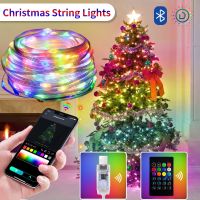 WS2812B LED String Light BT RGB Christmas Lights Party 5m 10m Music APP RGBIC Dream Color Addressable Individually USB 5V Power