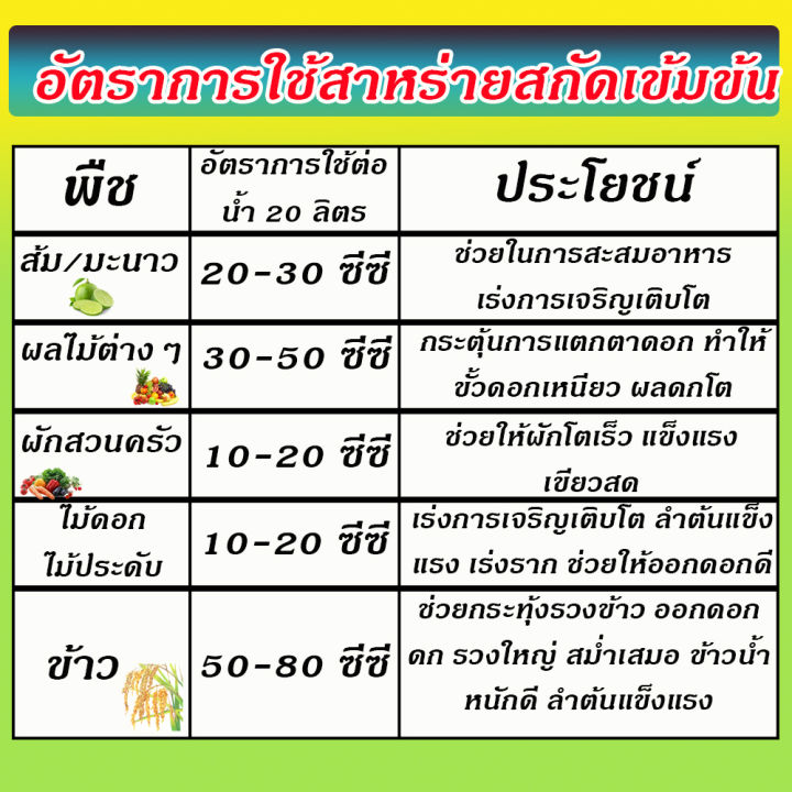 พร้อมส่ง-ยาเร่งแตกยอด-290-cc-ฮอร์โมนเร่งยอด-สารสาหร่ายสกัดเข้มข้น-เร่งยอด-กระตุ้นการแตกตา-เร่งแตกยอด-ยาเร่งการแตกตา-น้ำยาเร่งการแตกตาพืช-ปุ๋ยเร่งยอด-มี-ไซโตคินิน-ฮอโมนไซโตไคนิน