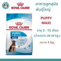 Royal Canin Maxi puppy สำหรับลูกสุนัขพันธุ์ใหญ่ ขนาด 4 kg.  (4 กก.)