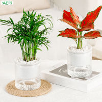 AERJ Home Self Watering Planters Modern Home Self Watering Flowerpot for Garden Enthusiast Lover Gift AJ-MY