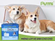 Purmi - Miếng lót vệ sinh cho chó 20 miếng 77 60