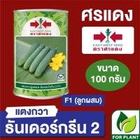 เมล็ดพันธุ์ ศรแดง แตงกวา ธันเดอร์กรีน กระป๋อง ขนาด 100 กรัม