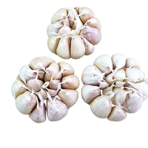 Bawang Putih Biasa Bawang Putih Honan 500 Gram Lazada Indonesia