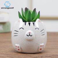 【CC】 Strongwell Garden Decoration Pot Handcirafts Painted Succulent Flowerpots Office