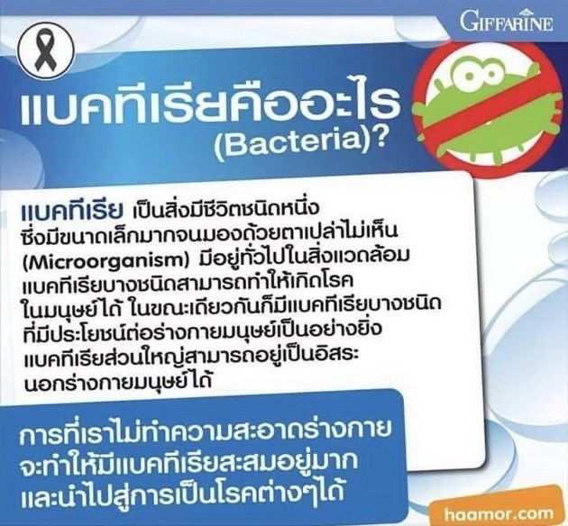 ส่งฟรี-ครีมอาบน้ำ-กิฟฟารีน-แอนตี้-แบคทีเรีย-ชาวเวอร์-ครีม-เจลอาบน้ำ-giffarine-shower-cream-anti-bacteria-สินค้ากิฟฟารีนแท้