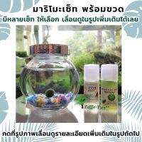 พร้อมส่ง โปรโมชั่น มาริโมะ เซ็ทพร้อมขวดแก้ว Marimo ของแท้ 100% นำเข้าจากญี่ปุ่น #CC ส่งทั่วประเทศ พรรณ ไม้ น้ำ พรรณ ไม้ ทุก ชนิด พรรณ ไม้ น้ำ สวยงาม พรรณ ไม้ มงคล