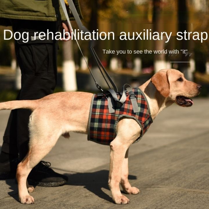 อุปกรณ์ยกสายจูงสุนัขสำหรับสุนัขบาดเจ็บสุนัขสูงอายุสุนัขพิการสายรัดยกสุนัขขนาดใหญ่-j09เข็มขัดเสริมฟื้นฟูสมรรถภาพ