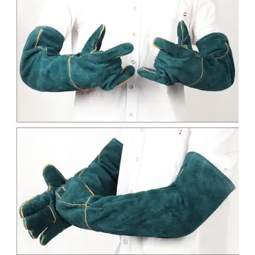 Protective gloves outlet for dog training