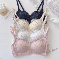 【Ready Stock】 ☂ C15 Push up no steel ring sweet floral student bra wireless thin section small chest pure cotton Japanese style内衣文胸