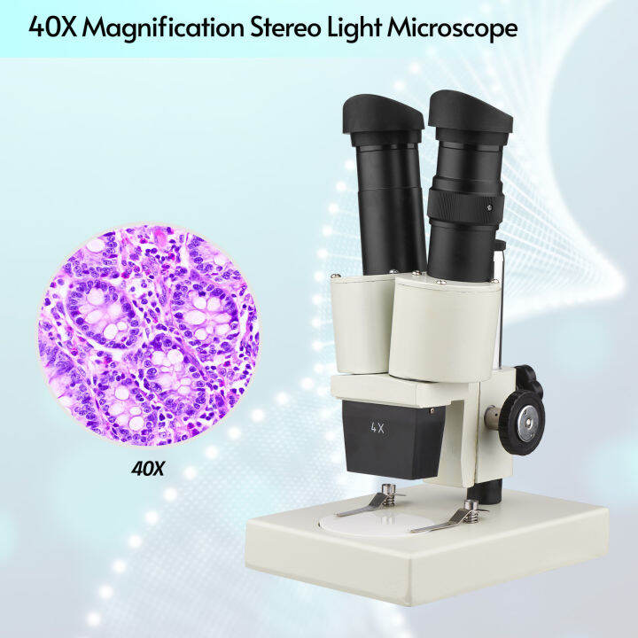 vieline40X Magnification Stereo Light Microscope Compound Binocular