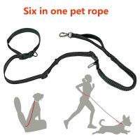 Outdoor Pet Supplies Traction Rope 6-in-1 Hands-Free Reflective Anti Sudden Running High Elasticity Pet Walking Running Rope