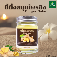 ขี้ผึ้งสมุนไพรขิง ขนาดบรรจุ 60กรัม Ginger Balm