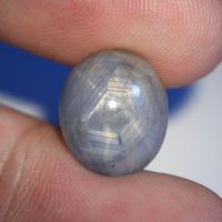 8.2 ct นิหร่า (Blue Sapphire) ทรงไข่หลังเบี้ย