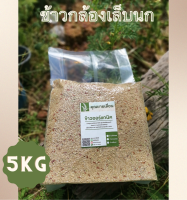 ?ข้าวเล็บนก (ขนาด 5 กิโล) ข้าวเพื่อสุขภาพ ?ข้าวใหม่สีข้าวได้ทุกวัน ? ออแกนิก100% จากเกษตรกรบ้านหน้าวัง จ.พัทลุง