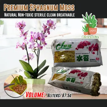 Natural Dried Sphagnum Moss for Orchids, Carnivores and Miniature Landscape  Plants - China Sphagnum Moss and Moss price
