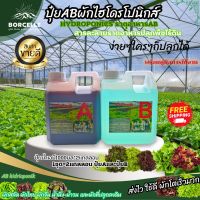 ปุ๋ย AB ไฮโดรโนิกส์ ใหม่ !!! Super GroW-โตเร็ว ขนาด 1 ลิตร 2 แกลลอน A+B?