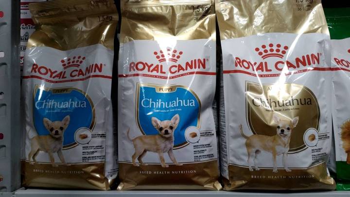 42pets-royal-canin-chihuahua-junior-adult-chihuahua-โรยัล-คานิน-อาหารสุนัขสำหรับสุนัขพันธุ์ชิวาว่า-มี-2-สูตร-โรยัลคานิน-ชิวาว่า-อาหารสุนัข